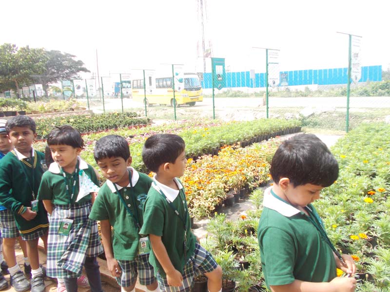 UKG Field Trip to Plant Nursery-Gunjur | Vydehi School